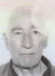 Radojica Cerović